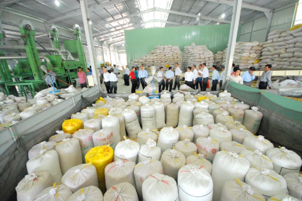 Sửa đổi, bổ sung quy định về chứng nhận chủng loại gạo thơm Pg88vnd link khuyến  sang Liên minh châu Âu