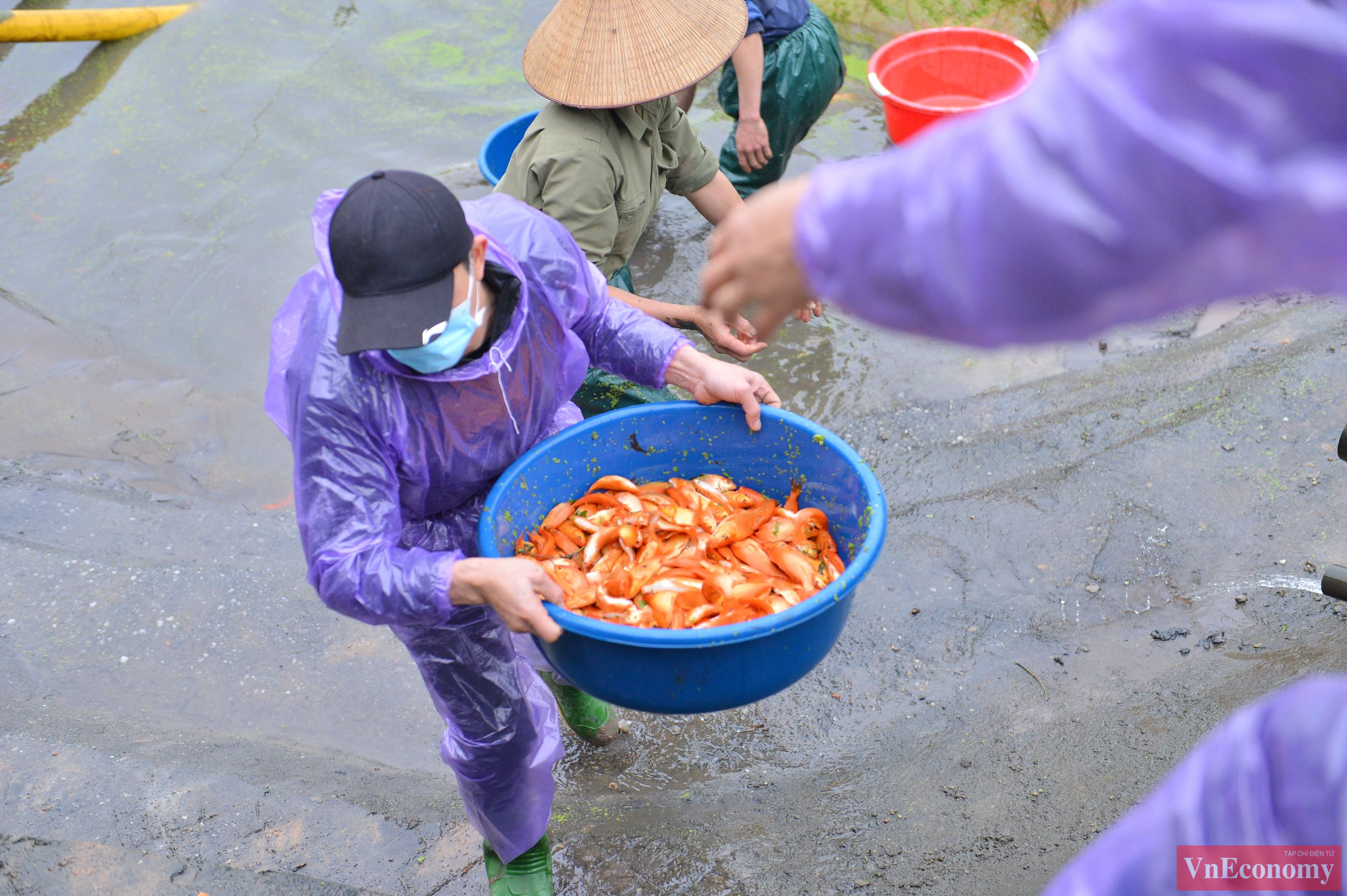 Xung quanh ng&ocirc;i l&agrave;ng nổi tiếng l&agrave; những ao hồ được chia nhỏ, những ng&agrave;y n&agrave;y, hầu như l&uacute;c n&agrave;o người n&ocirc;ng d&acirc;n cũng tất bật xuống k&eacute;o lưới vớt c&aacute; l&ecirc;n.