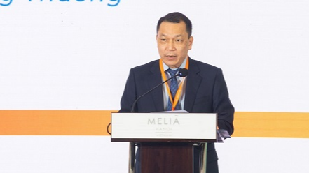 &Ocirc;ng Đặng Ho&agrave;ng Anh-Thứ trưởng Bộ C&ocirc;ng Thương ph&aacute;t biểu tại hội nghị.