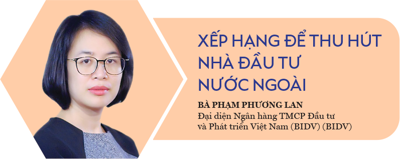 6PG88VN