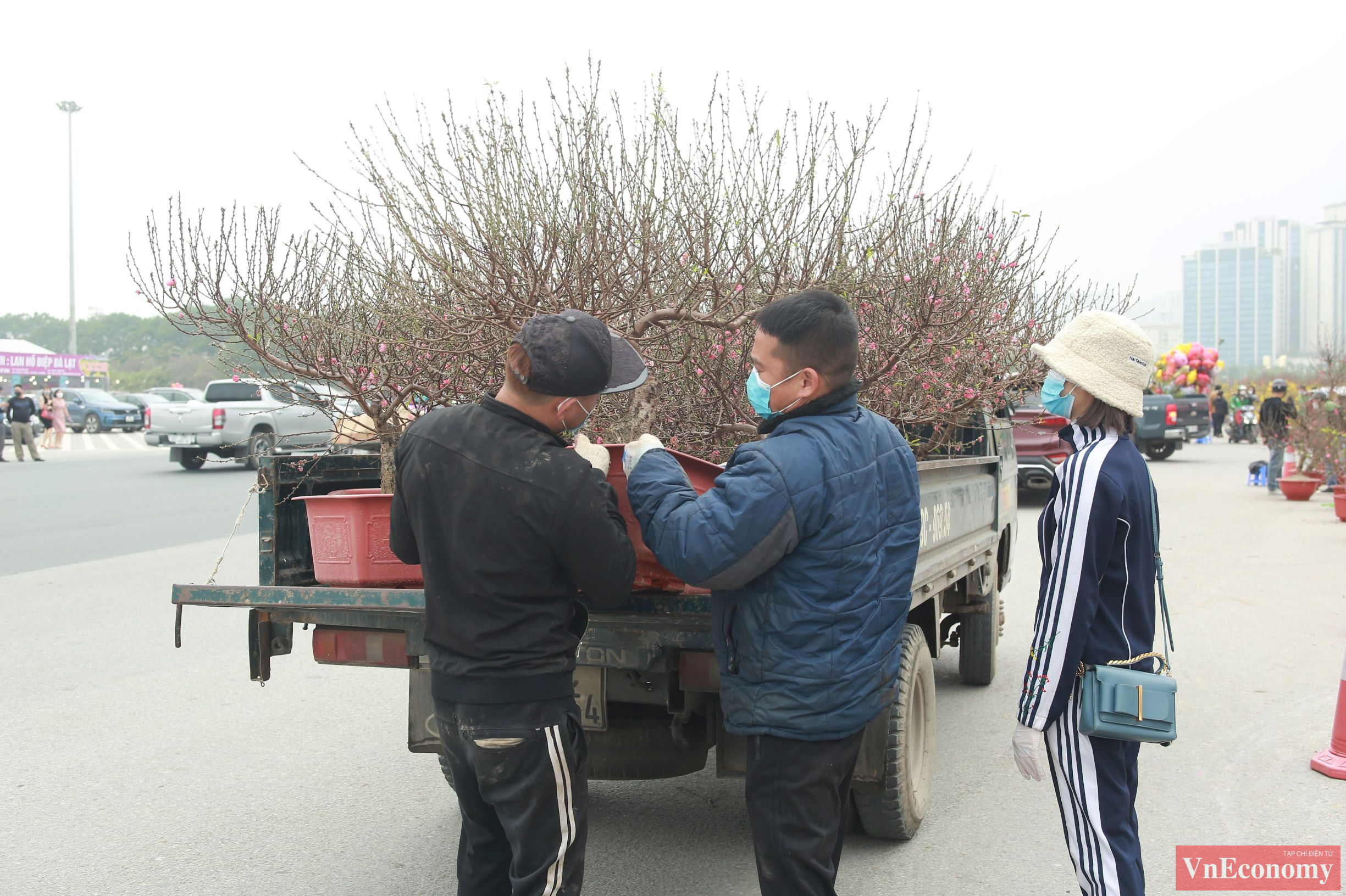 Năm nay, do t&igrave;nh h&igrave;nh Link Trang Chủ PG88.Com Mới #2026 kh&oacute; khăn, người d&acirc;n chủ yếu mua hoặc thu&ecirc; những c&acirc;y đ&agrave;o khoảng v&agrave;i triệu đồng, vừa c&oacute; đầy đủ cả hoa v&agrave; nụ rất đẹp, lại kh&ocirc;ng k&eacute;n kh&ocirc;ng gian trưng b&agrave;y, kh&ocirc;ng tốn nhiều chi ph&iacute; vận chuyển.