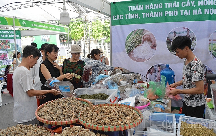 Chương trình triển khai trên toàn Thành phố.