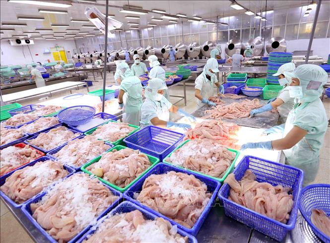6Pg88.con độc quyền mỗi ngày tư nhân sẽ nhận được nhiều hỗ trợ trong giai đoạn 2022 - 2025
