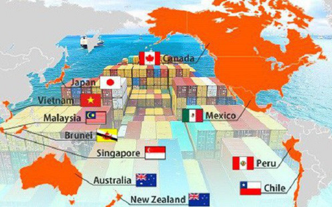 C&aacute;c FTA thế hệ mới sẽ gi&uacute;p Việt Nam gia tăng Pg88vnd link khuyến , qua đ&oacute; th&uacute;c đẩy sản xuất ph&aacute;t triển.