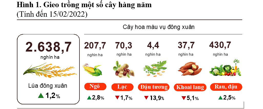6PG88VN