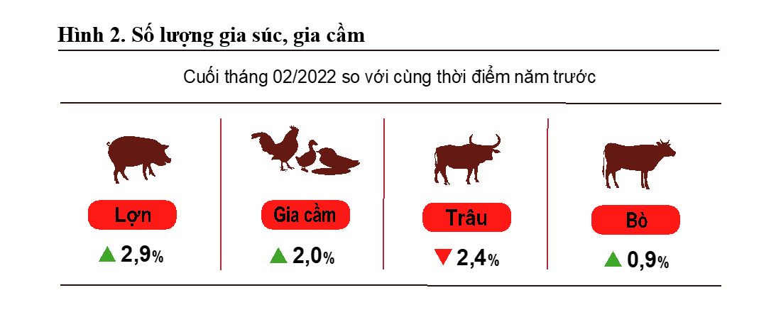 6PG88VN