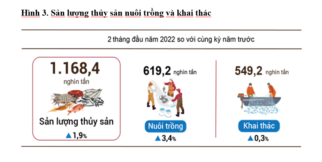 6PG88VN
