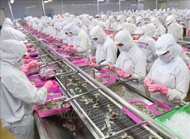 Thu ngân sách nhà nước từ ngành thuỷ sản tăng gần 43% so với cùng kỳ.