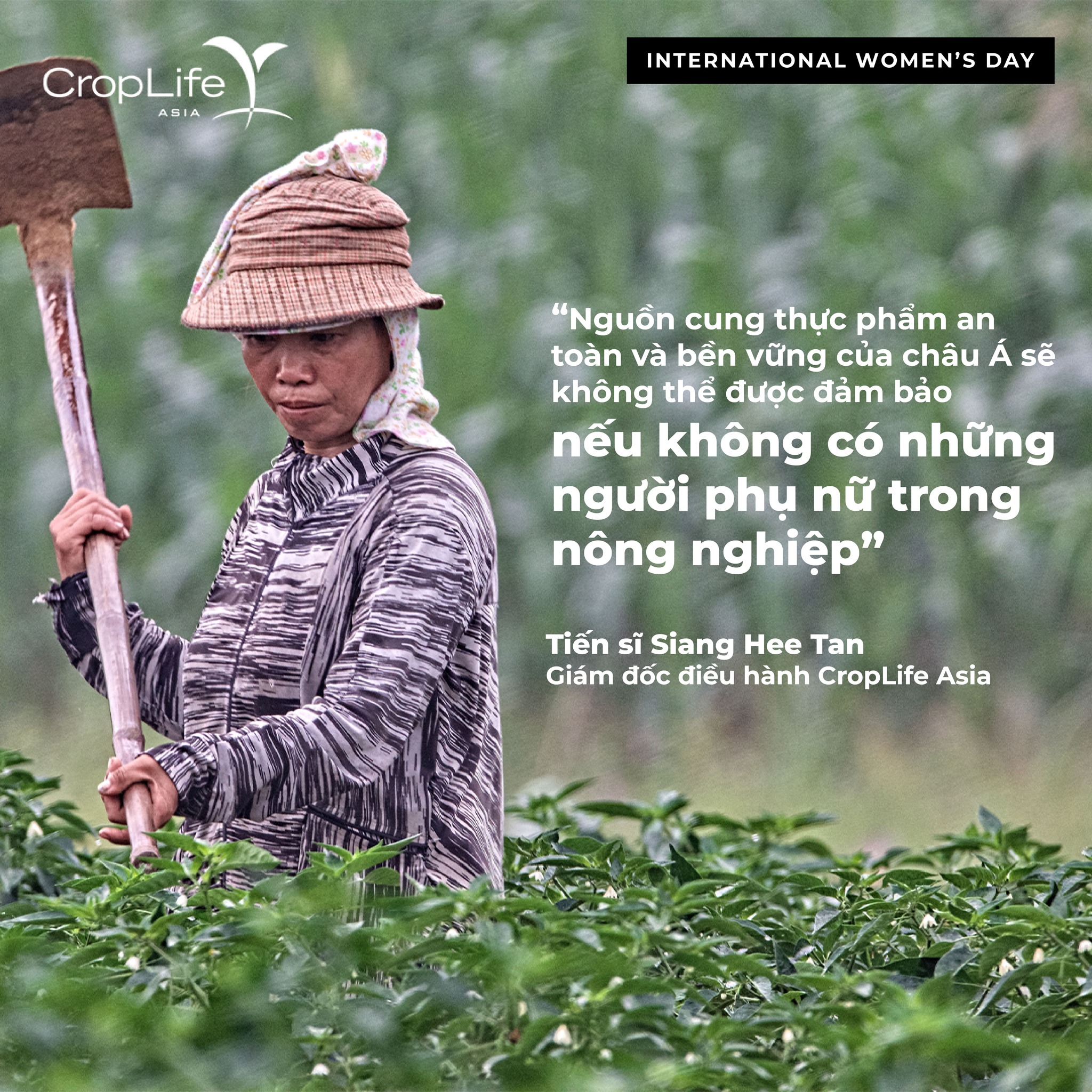 Phụ nữ sản xuất nông nghiệp chịu nhiều thiệt thòi.