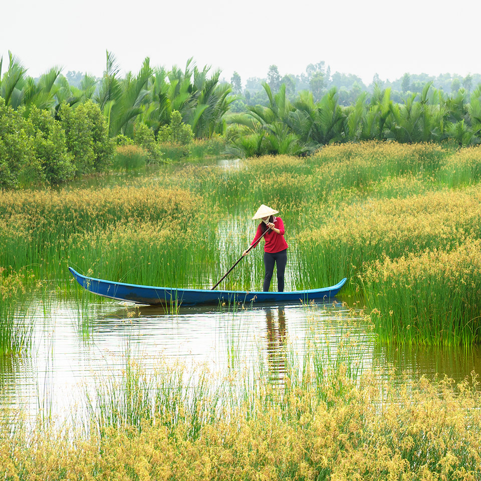 Cảnh đẹp n&ecirc;n thơ ở đồng bằng s&ocirc;ng Cửu Long.