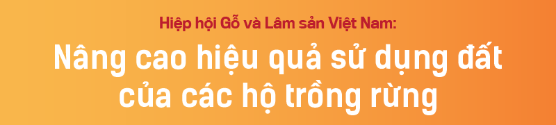 6PG88VN