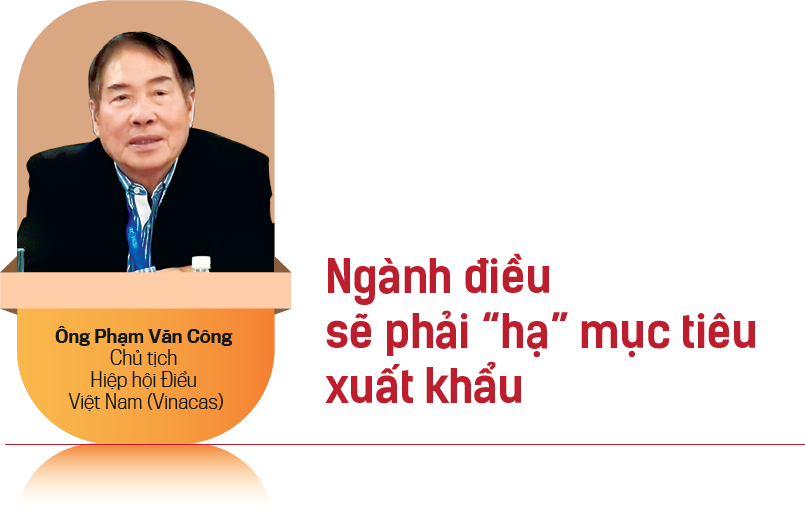 6PG88VN