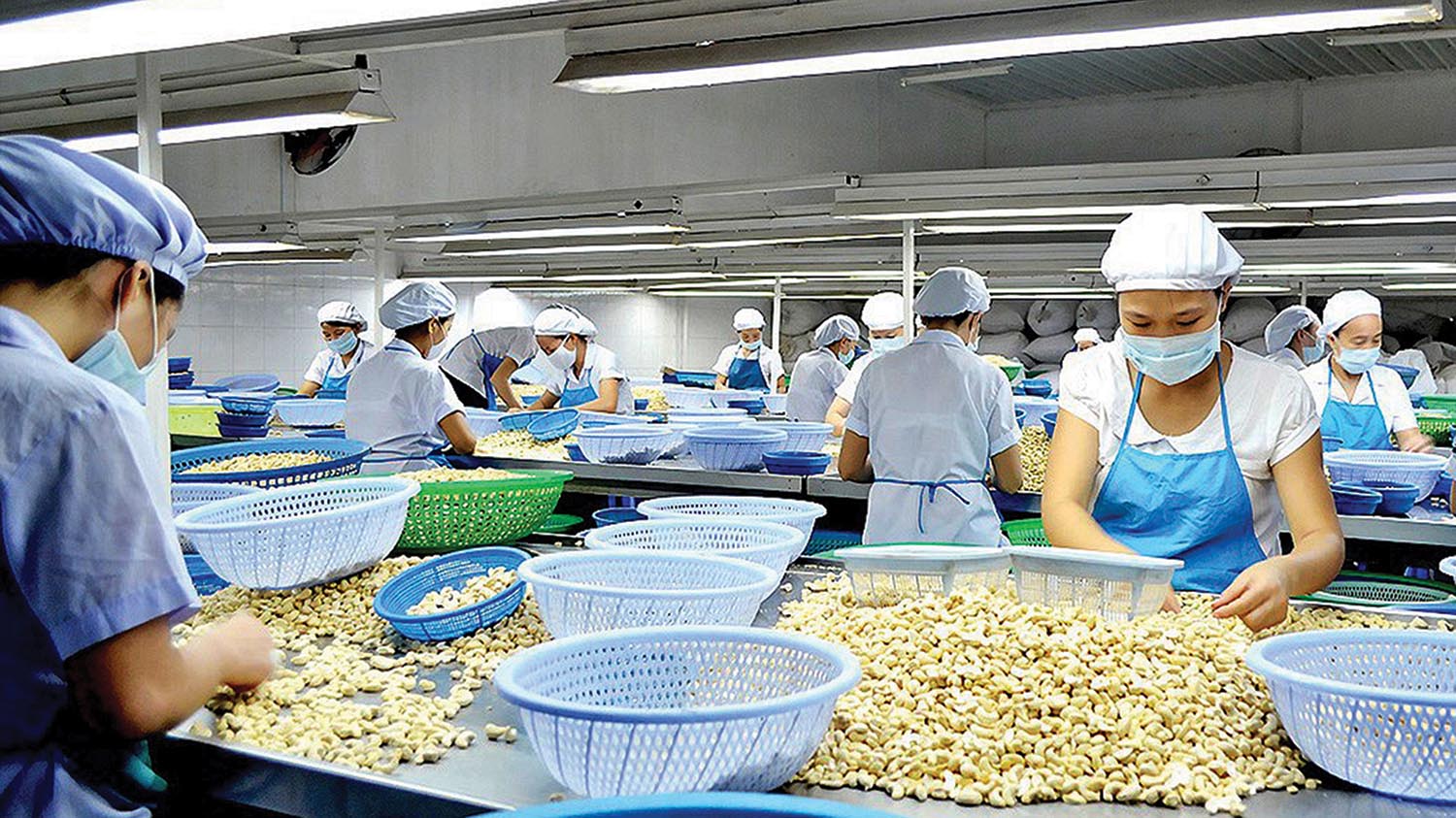 Vụ rủi ro Pg88vnd link khuyến  hạt điều: Vì sao không dùng phương thức thanh toán ít rủi ro?
