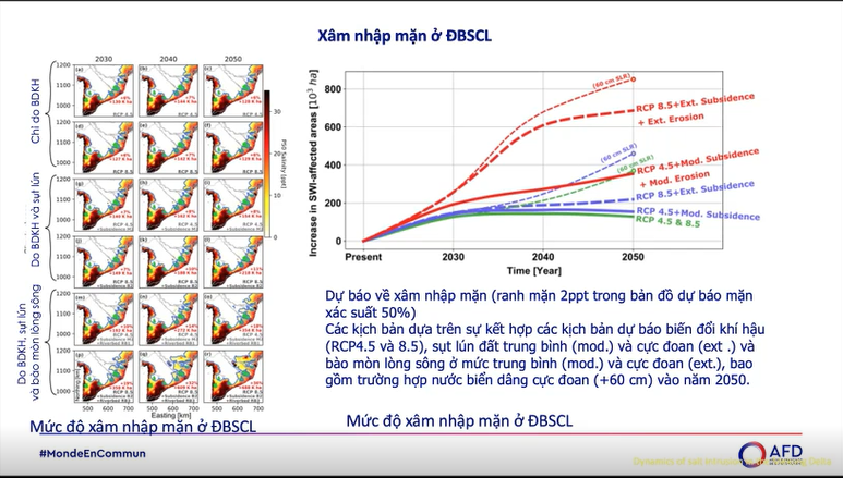 6PG88VN