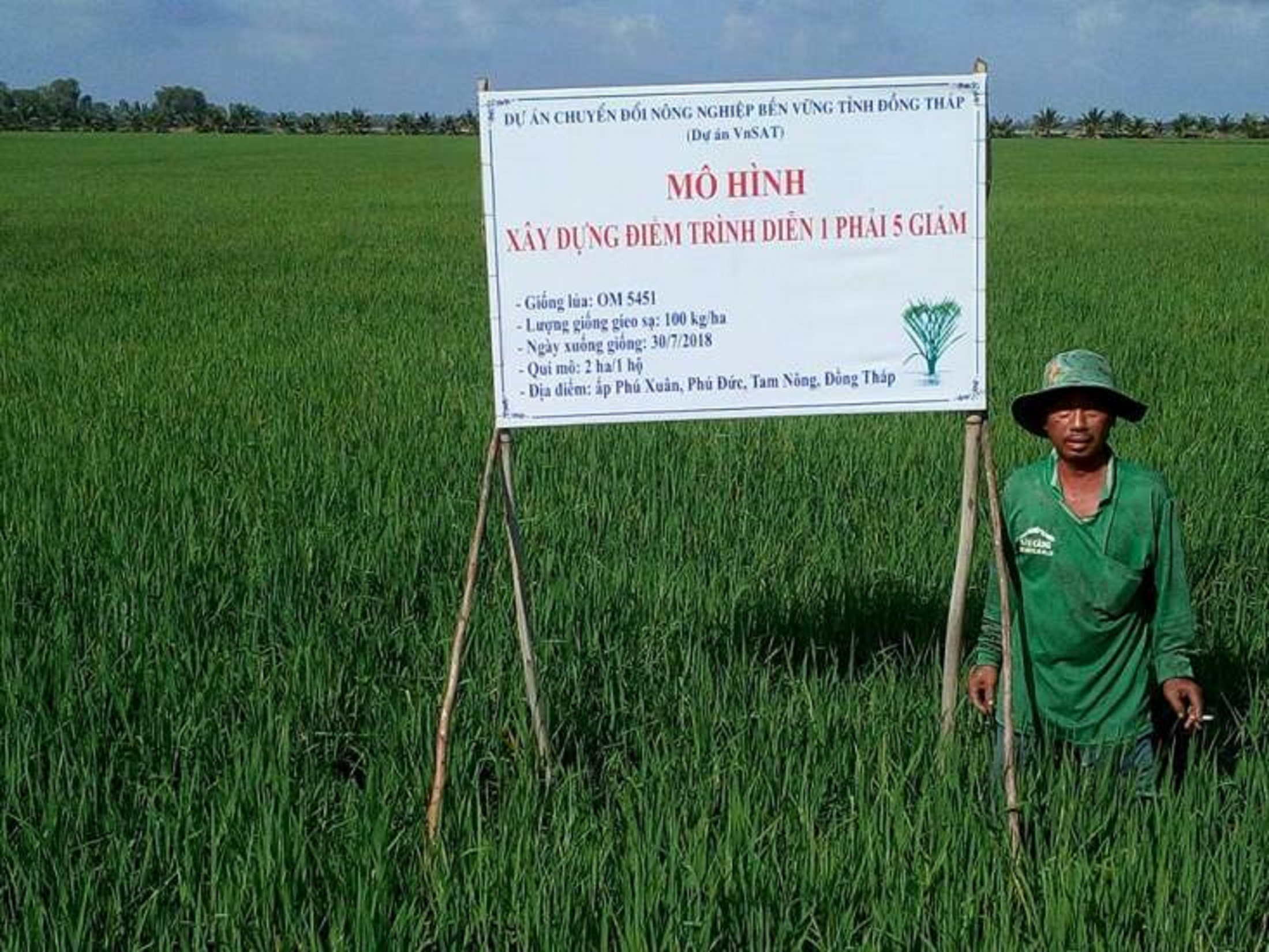 Link Trang Chủ PG88.Com Mới #2026 VnSAT nâng cao chuỗi giá trị lúa gạo