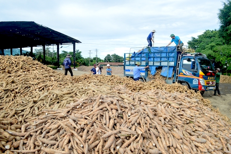Nghi ngờ gian dối, Tổng cục Thuế siết hoàn thuế VAT với Pg88vnd link khuyến  tinh bột sắn sang Trung Quốc