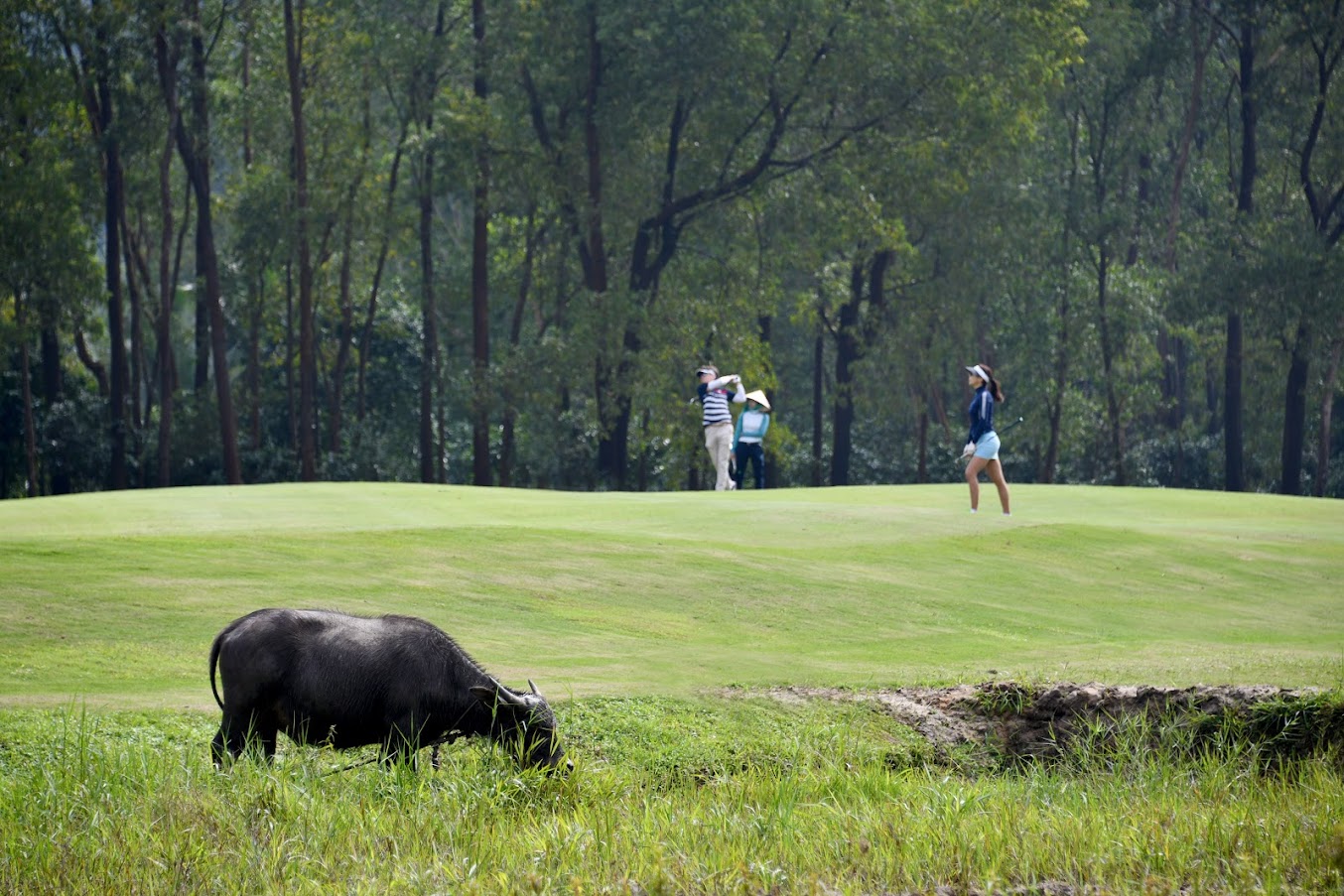 Đi sau so với Th&aacute;i Lan, Malaysia, nhưng c&aacute;c s&acirc;n golf Việt Nam c&oacute; ưu thế l&agrave; đẹp, mới, đa dạng địa h&igrave;nh, do nhiều golfer nổi tiếng thế giới thiết kế.