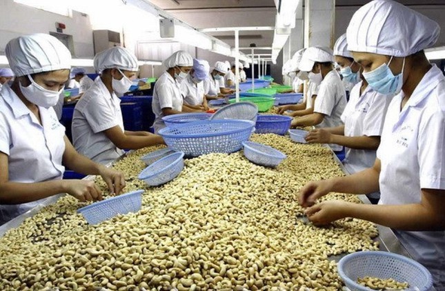 PG88 Link Dễ Nhớ Pg88.com Pg88vnd link khuyến  điều của Việt Nam c&ograve;n thật th&agrave; qu&aacute;.