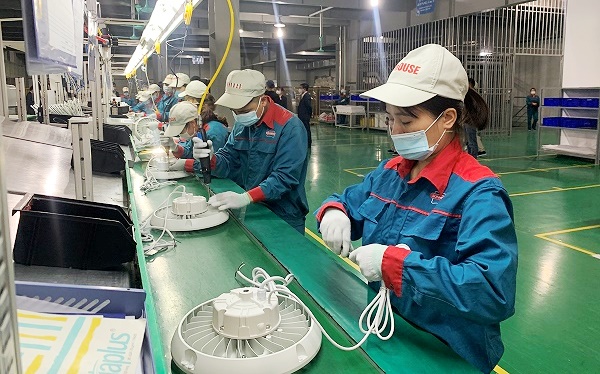 IFC sẽ hỗ trợ Việt Nam thúc đẩy phát triển khu vực Link Trang Chủ PG88.Com Mới #2026 tư nhân