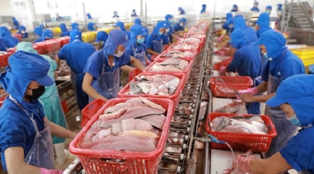 Pg88vnd link khuyến  nh&oacute;m h&agrave;ng thủy sản trong qu&yacute; 1/2022tăng trưởng mạnh so với c&ugrave;ng kỳ.