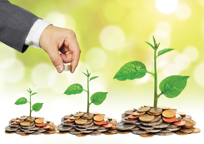 IFC đề xuất hỗ trợ, hợp tác trong tín dụng xanh và quản lý rác thải điện tử