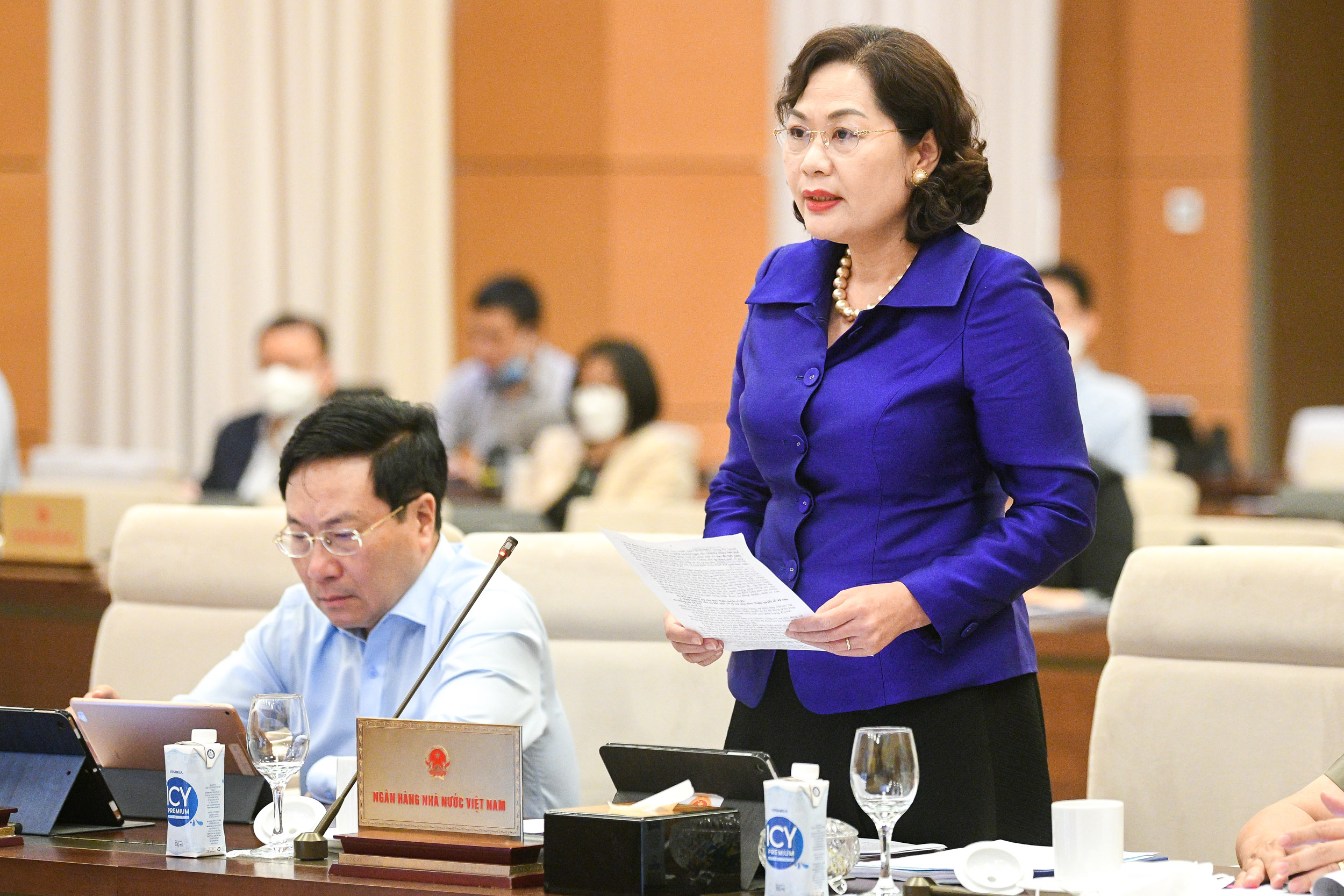 Bà Nguyễn Thị Hồng, Thống đốc Pg88 com chính chủ Nhà nước phát biểu tại phiên họp