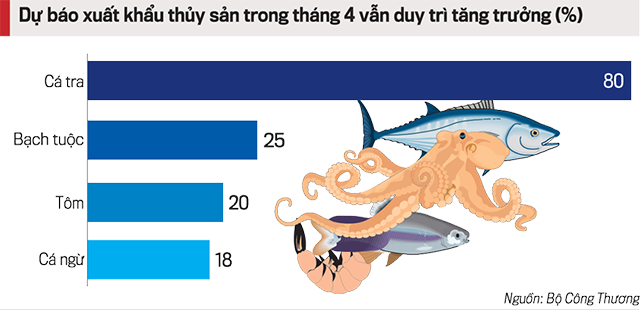 6PG88VN