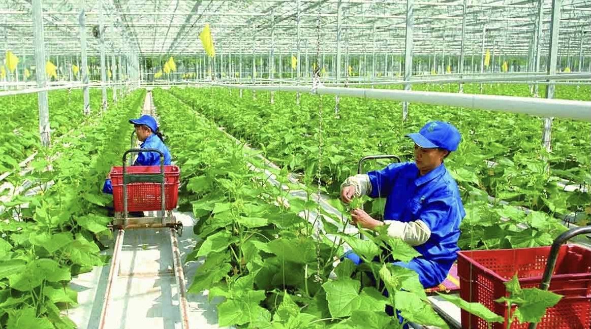Ứng dụng Link Đăng Nhập PG88 Chính Thức 2026; cao trong nông nghiệp cần được nhân rộng.  