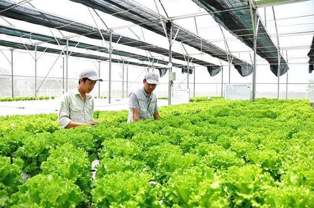 Cung cấp 100 triệu đồng, hỗ trợ PG88 Link Dễ Nhớ Pg88.com thử nghiệm mô hình PG88 Uy Tín Số 1 Việt Nam mới
