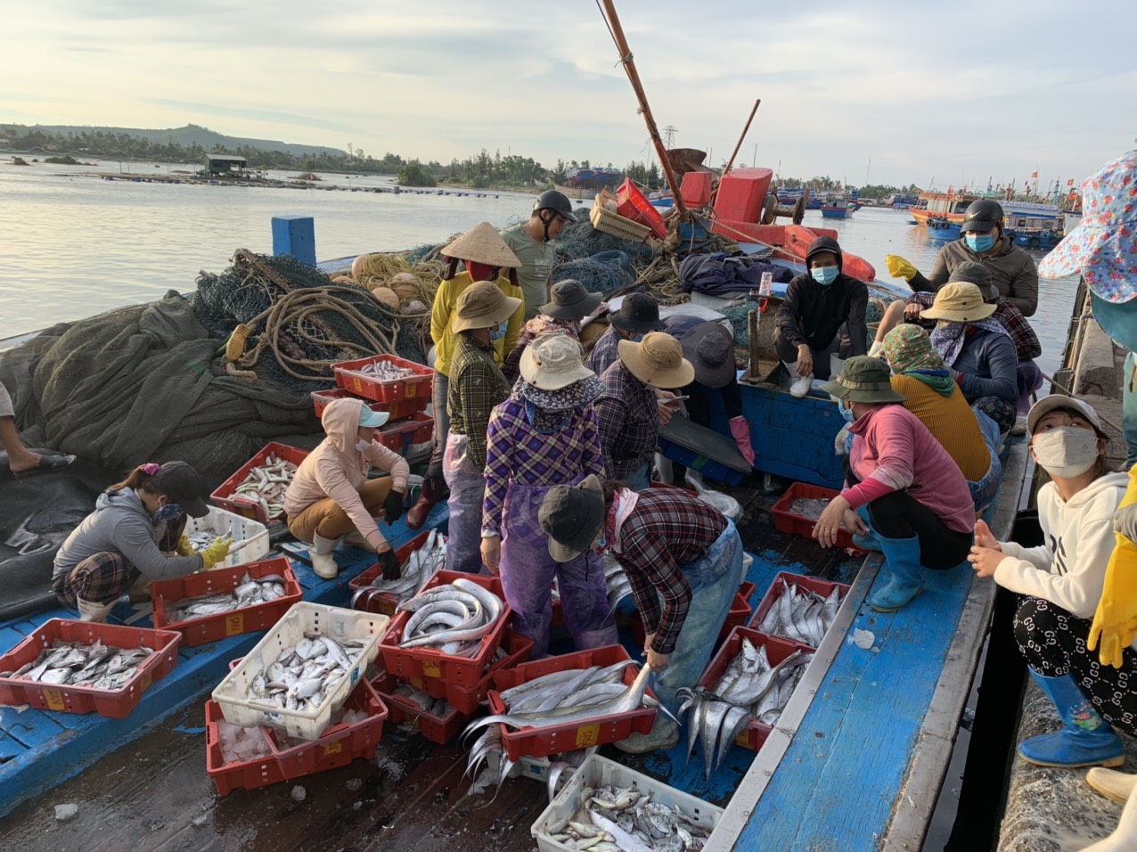 L&agrave;m việc vất vả trong ng&agrave;y nghỉ lễ nhưng ngư d&acirc;n cũng như tiểu thương đều hồ hởi. 