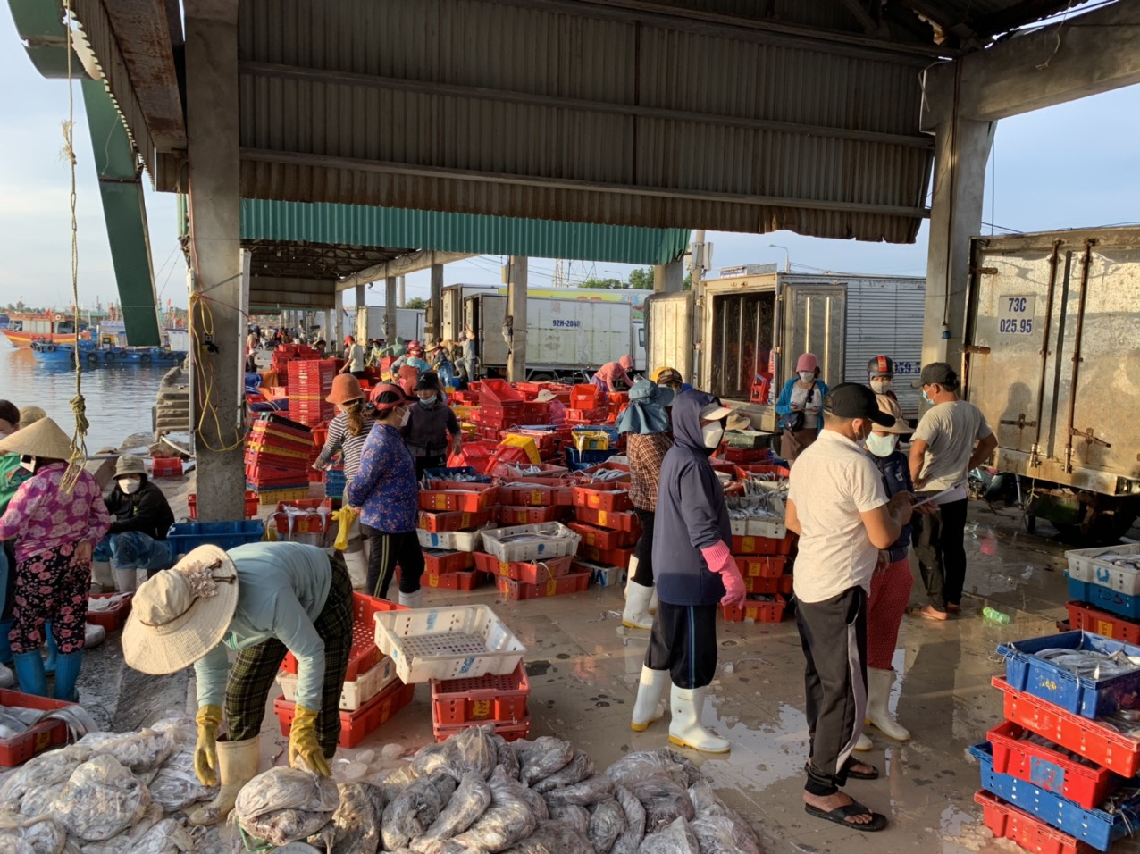 30/4, hay 1/5 l&agrave; những ng&agrave;y nhộn nhịp hơn thường lệ tại cảng c&aacute; Sa Kỳ, v&igrave; những ng&agrave;y n&agrave;y, lượng hải sản được ti&ecirc;u thụ nhiều hơn, v&igrave; thấy, c&aacute;c chuyến biển của ngư d&acirc;n cũng hối hả, khẩn trương hơn.&nbsp;