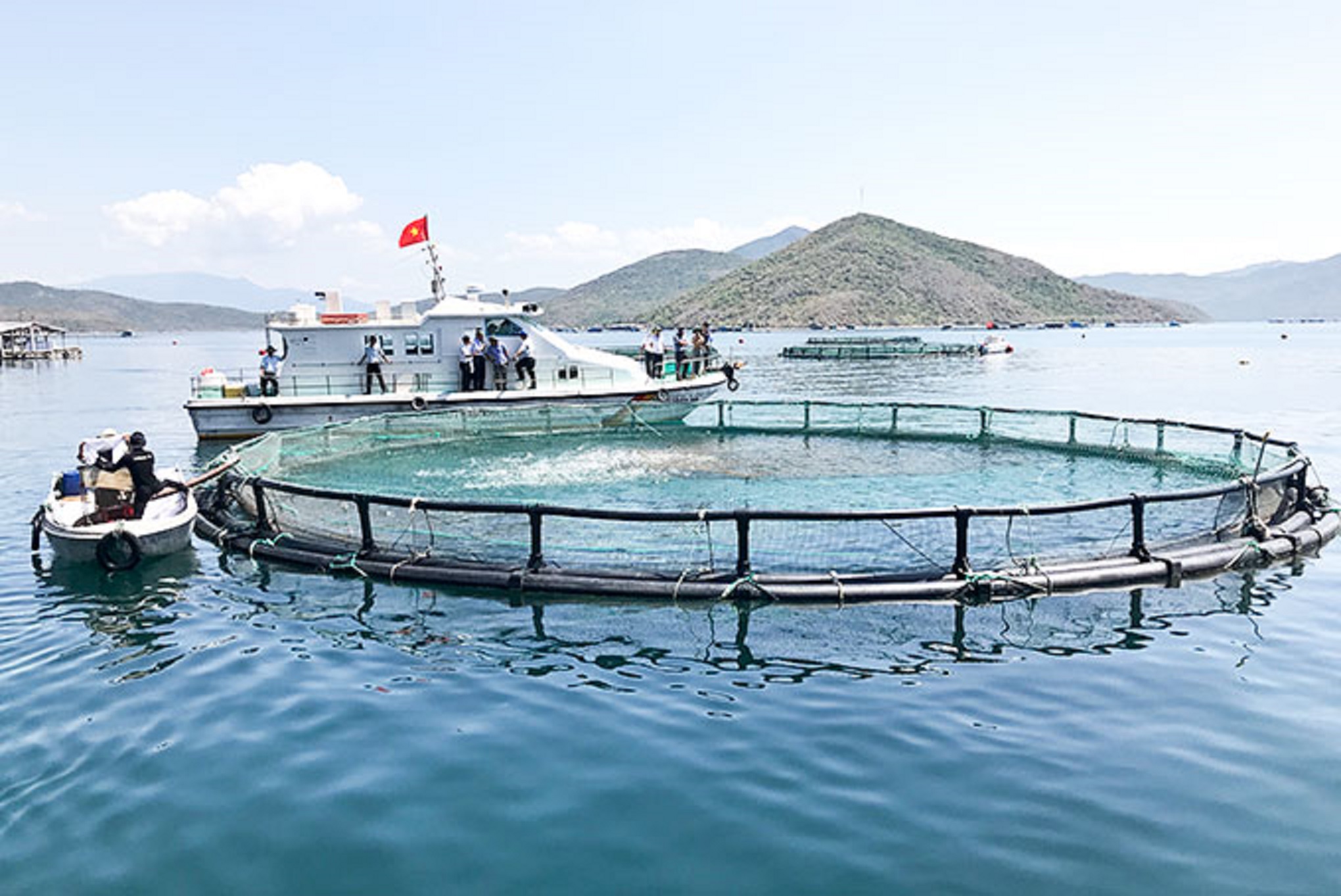 Nuôi biển nhiều dư địa để PG88 hơn 2,1 triệu thành viên.