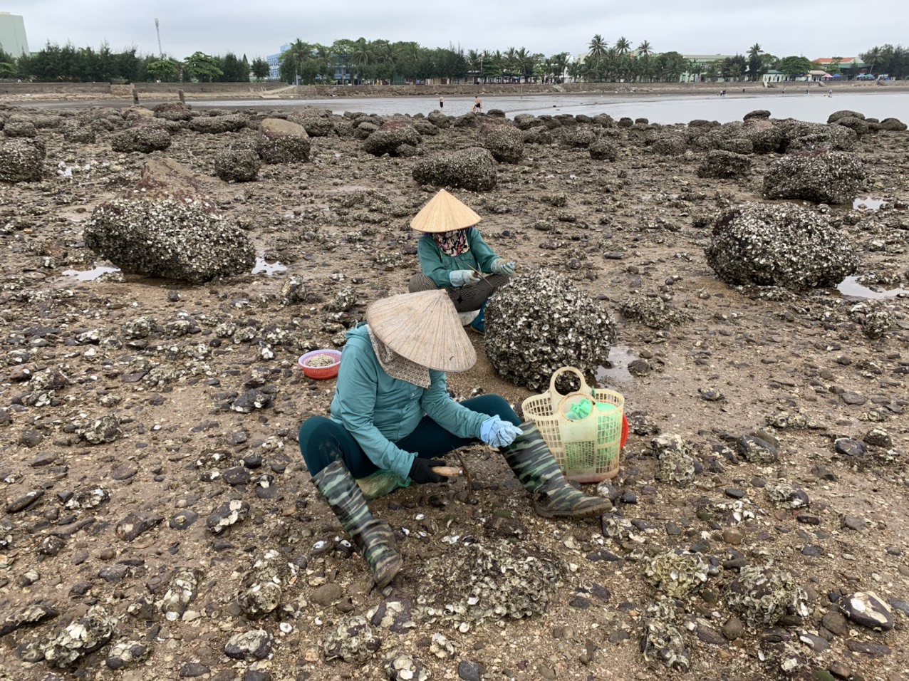 Mỗi ng&agrave;y nếu đẽo chăm chỉ, mỗi người c&oacute; thể kiếm được từ 300.000đ đến 400.000đ. Nhưng c&oacute; những ng&agrave;y h&agrave;u &oacute;p, kh&ocirc;ng chắc th&igrave; kiếm được &iacute;t hơn. Nh&igrave;n chung c&ocirc;ng việc kh&ocirc;ng nặng nhọc nhưng thường phải ngồi cả ng&agrave;y, rất mệt khi trời nắng n&oacute;ng.&nbsp;
