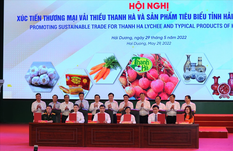 Hải Dương mở vườn thu hái vải Pg88vnd link khuyến  đi các thị trường quốc tế