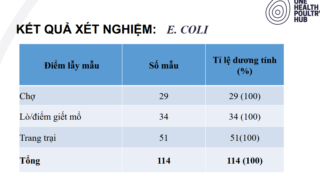 6PG88VN