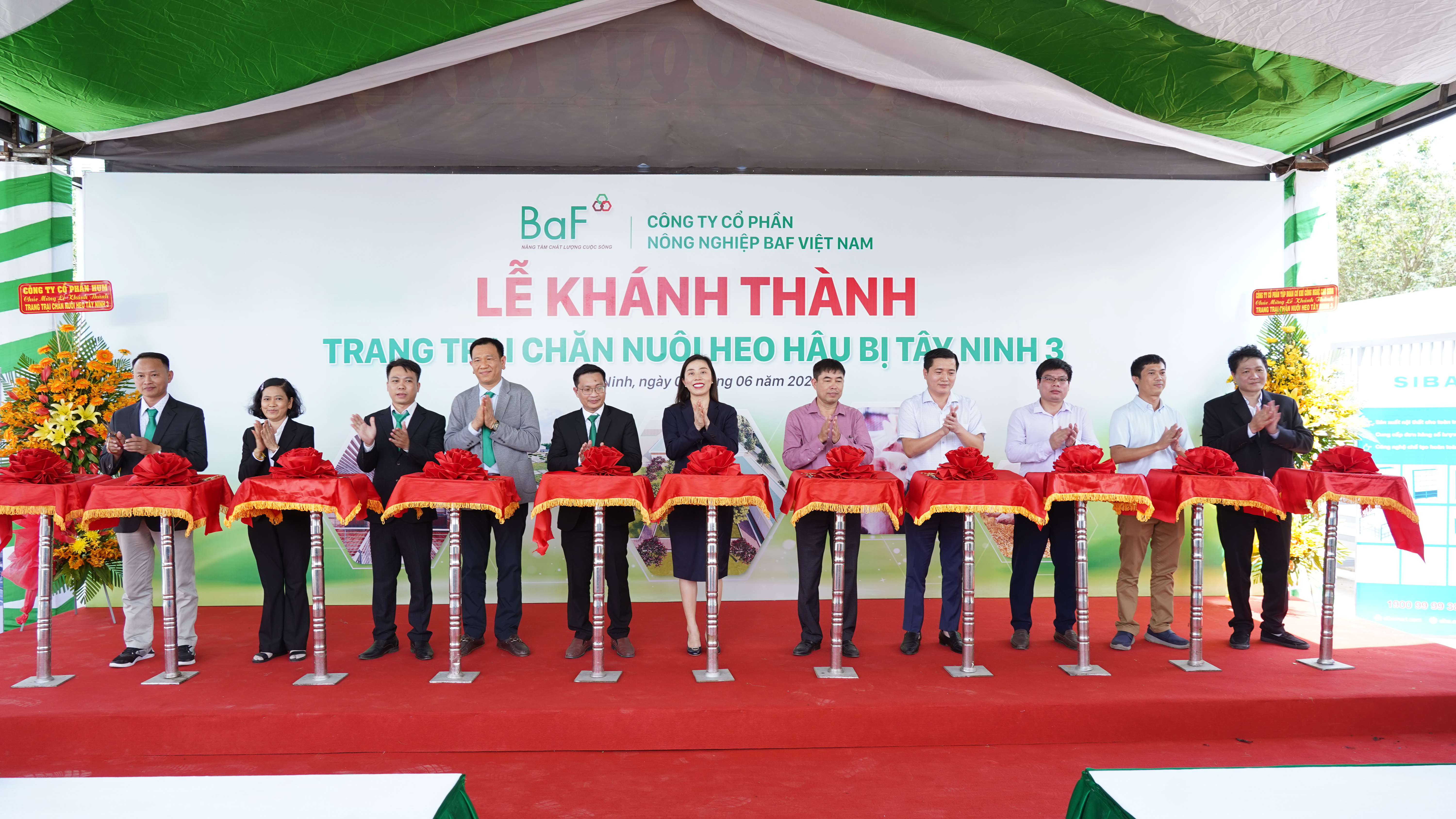 Ban L&atilde;nh đạo C&ocirc;ng ty BaF thực hiện nghi thức cắt băng kh&aacute;nh th&agrave;nh trang trại chăn nu&ocirc;i heo hậu bị T&acirc;y Ninh 3.