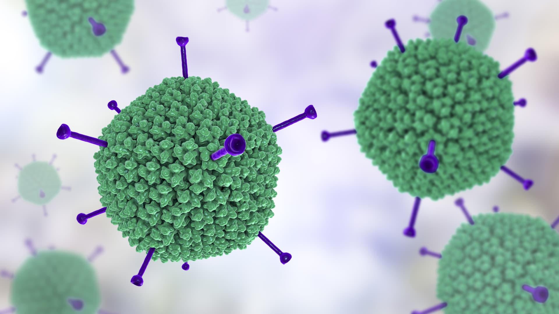 C&aacute;c cuộc điều tra vẫn b&aacute;m s&aacute;t giả thuyết virus adeno 41F l&agrave; nghi phạm g&acirc;y ra t&igrave;nh trạng vi&ecirc;m gan h&agrave;ng loạt chưa r&otilde; nguy&ecirc;n nh&acirc;n.