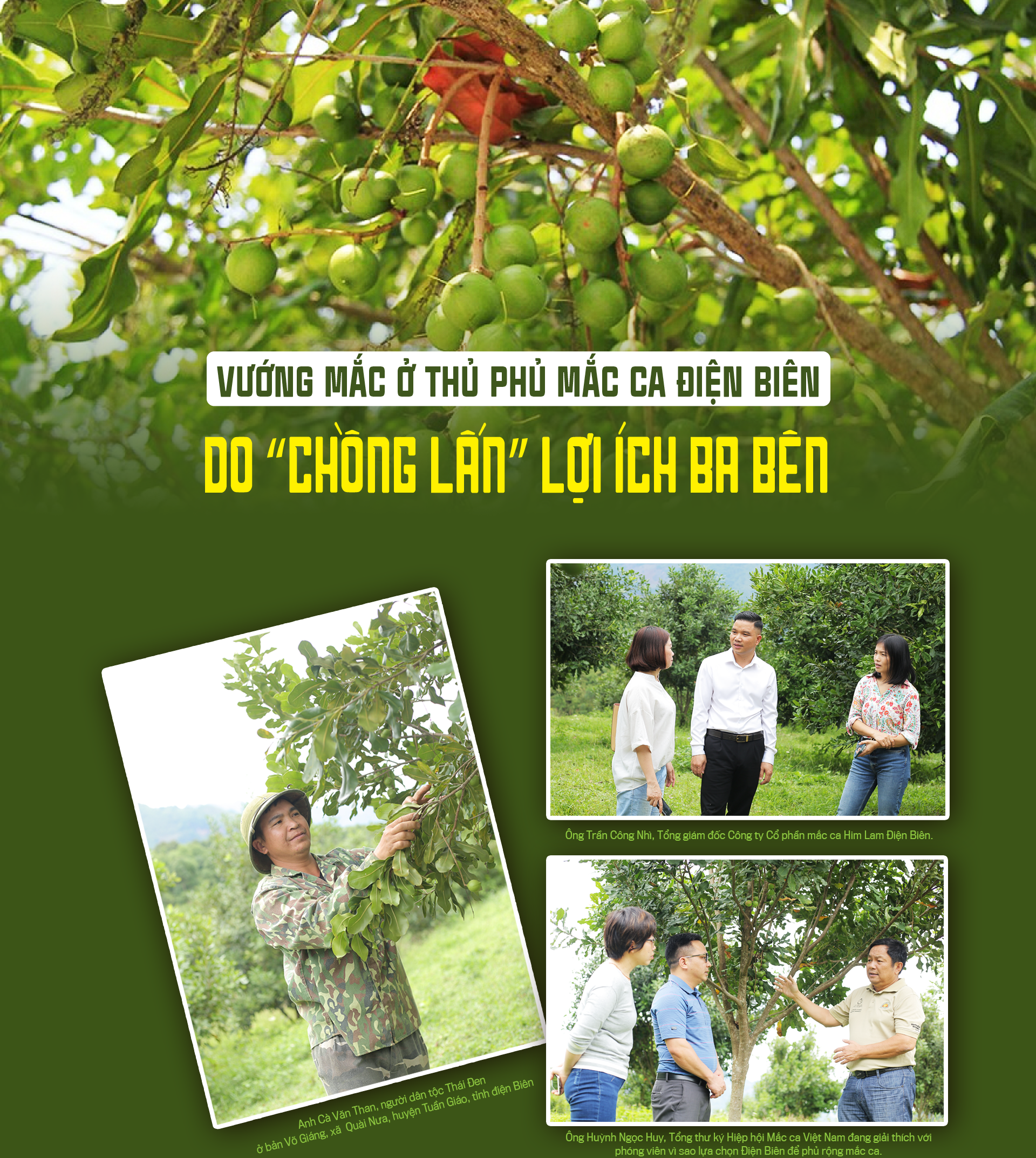 6PG88VN