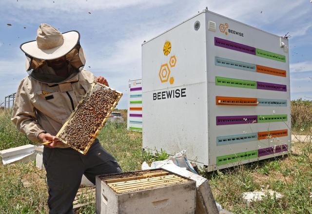 Xây dựng tổ ong Link Đăng Nhập PG88 Chính Thức 2026; Beehome nhằm giải cứu ong khỏi tác động tiêu cực