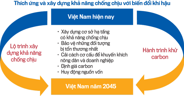 6PG88VN