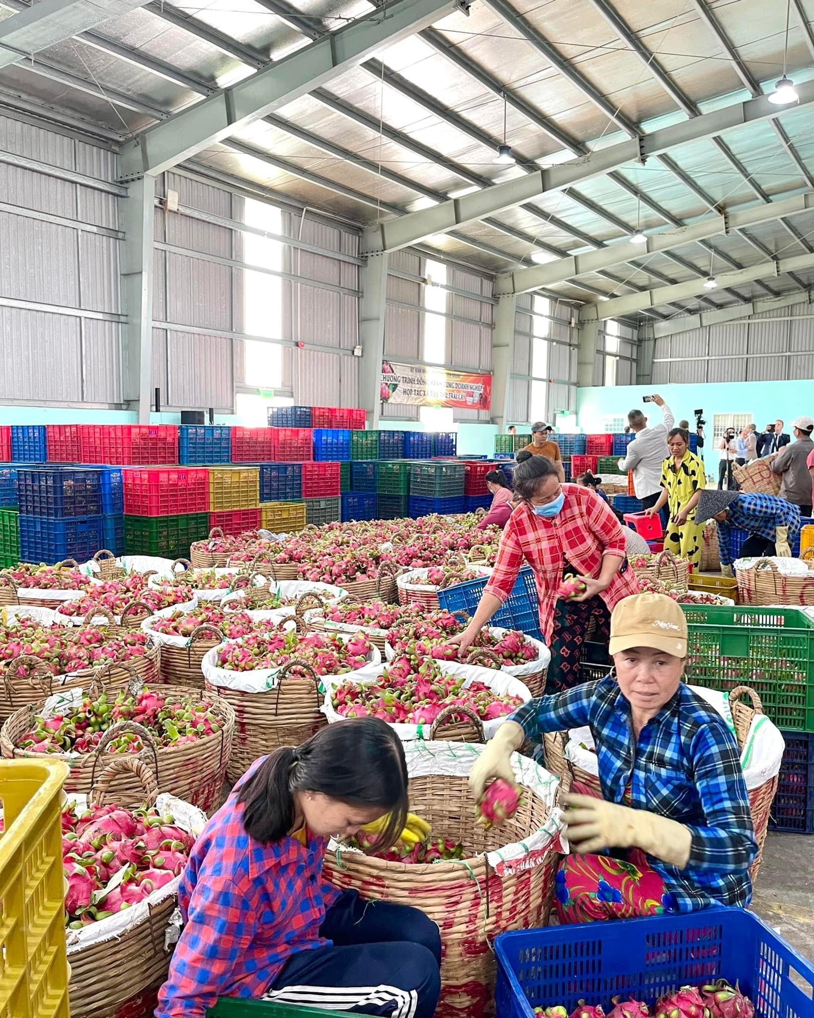 Đến 2030, trên 70% số cơ sở chế biến, bảo quản PG88 ⭐ Link trang chủ số 1 nhà cái PG88 com casino slot chủ lực đạt trình độ và năng lực Link Đăng Nhập PG88 Chính Thức 2026; trung bình tiên tiến trở lên.