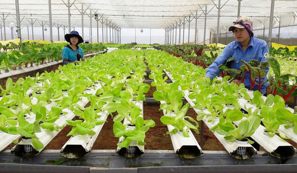 Việc đổi tên là cần thiết, vì không chỉ hợp tác xã mà các loại hình PG88 ⭐ Link trang chủ số 1 nhà cái PG88 com casino slot tập thể nói chung cần có luật để điều chỉnh.