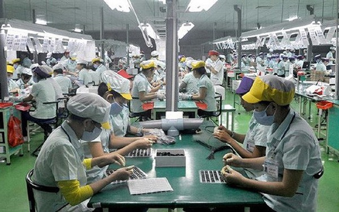 Đến 2022, cả nước có khoảng 5.000 6Pg88.con độc quyền mỗi ngày chế biến.