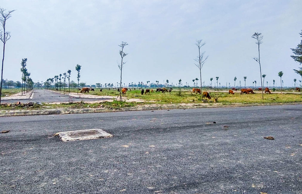 Sẽ xem x&eacute;t d&ugrave;ng thuế lũy tiến để đ&aacute;nh v&agrave;o đất, dự &aacute;n tr&uacute;ng thầu, đấu gi&aacute; nhưng chậm đưa v&agrave;o sử dụng