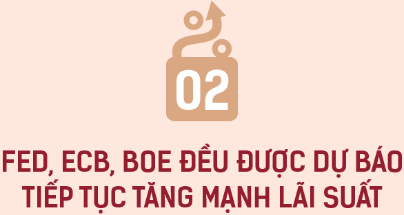 6PG88VN