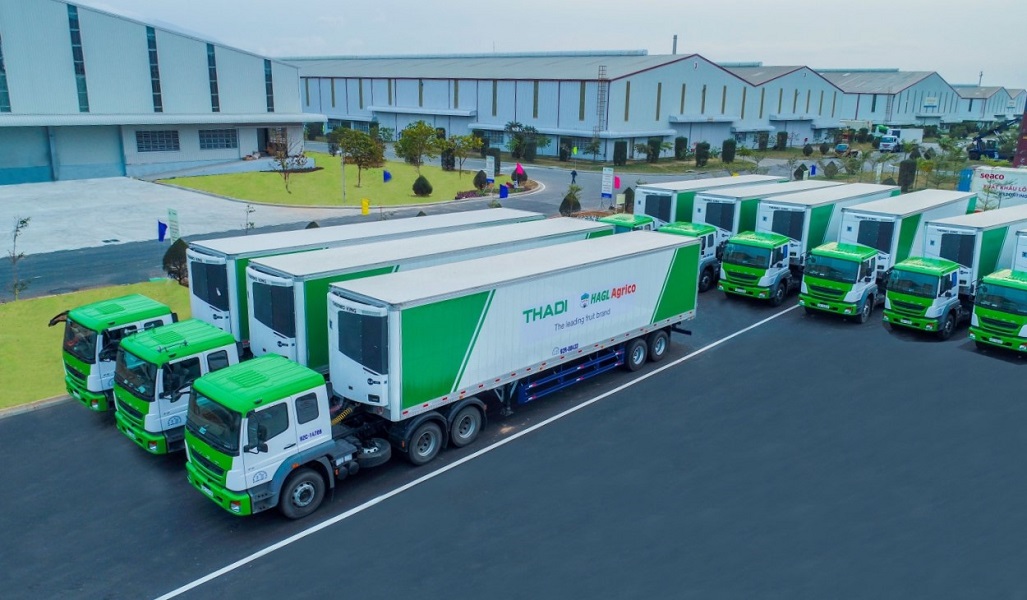 Cả nước hiện có khoảng 4.000 6Pg88.con độc quyền mỗi ngày cung cấp dịch vụ logistics.
