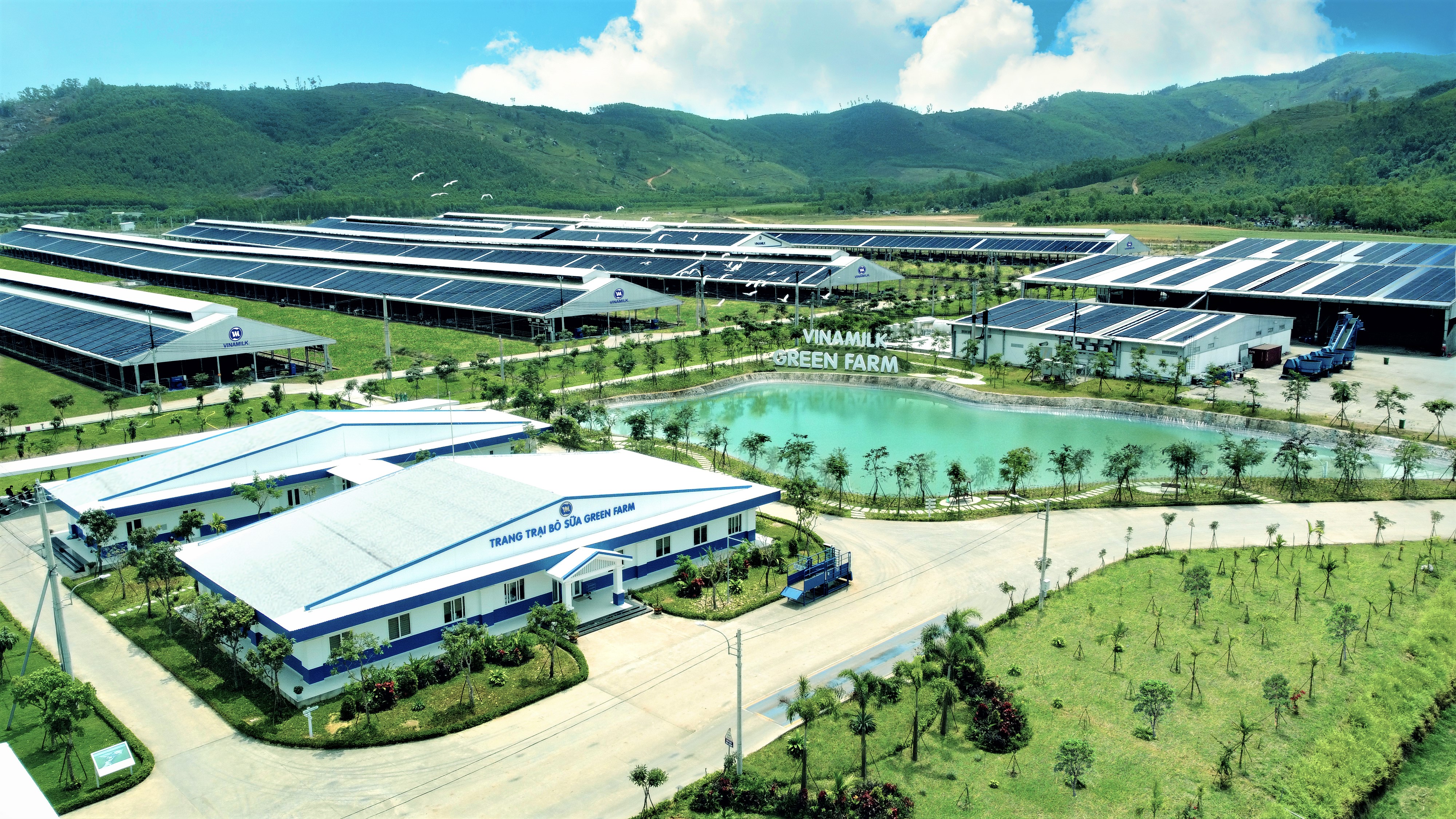 Vinamilk hiện c&oacute; 3 trang trại sinh th&aacute;i Vinamilk Green Farm tại T&acirc;y Ninh, Thanh H&oacute;a, Quảng Ng&atilde;i với hơn 20.000 b&ograve; sữa.
