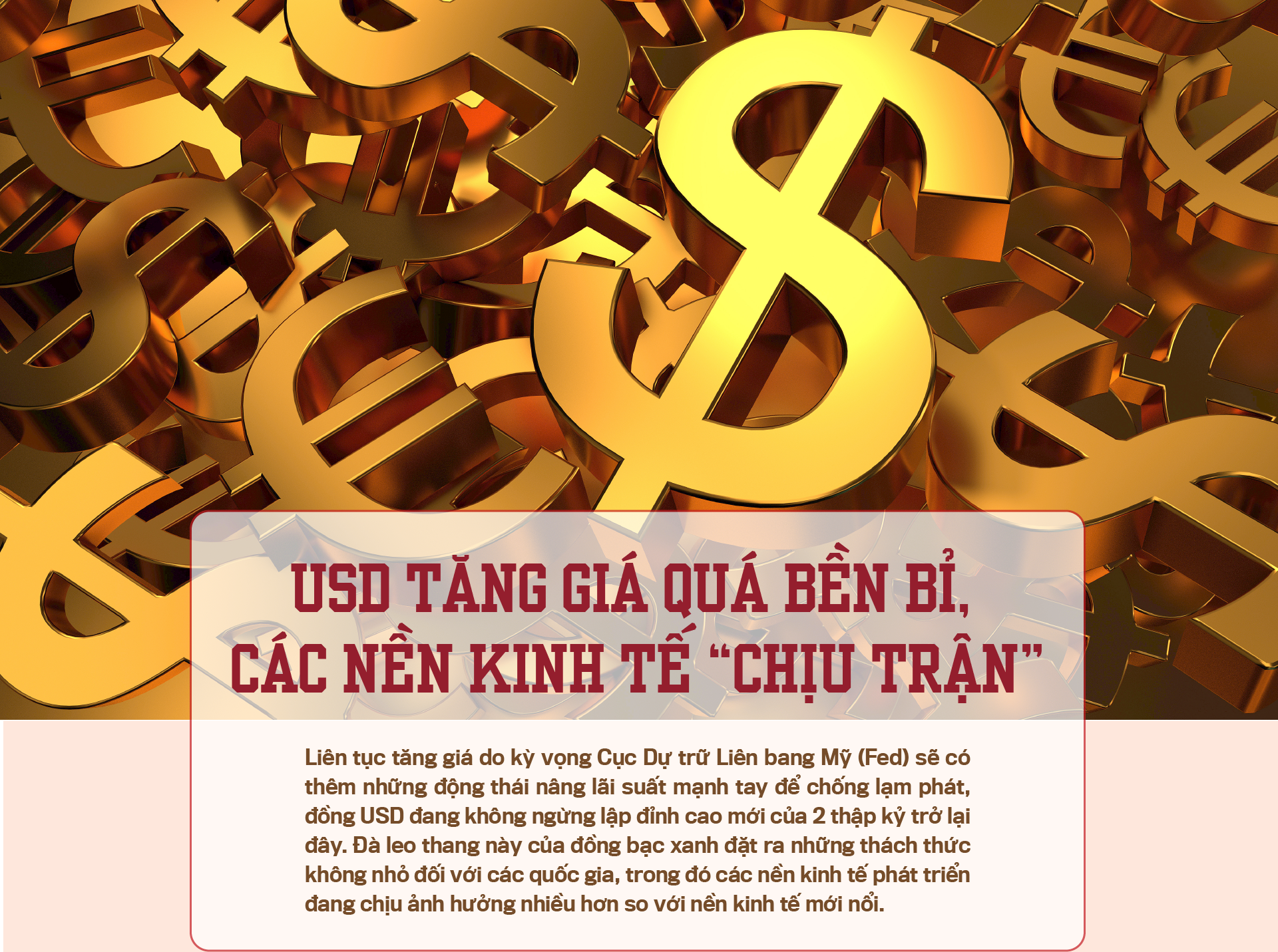 6PG88VN