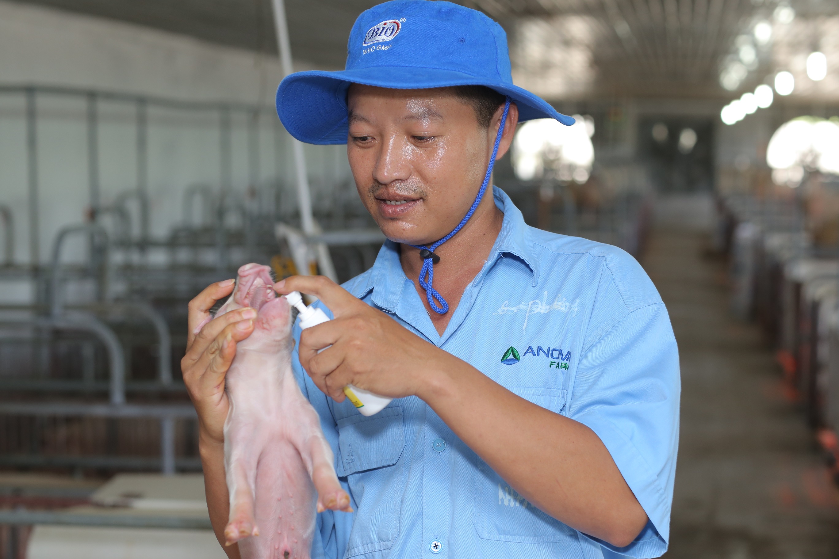 Trong 30 năm qua, hàng chục ngàn đối tác uy tín trong và ngoài nước đã cùng Tập đoàn NovaGroup góp phần PG88 hơn 2,1 triệu thành viên PG88 ⭐ Link trang chủ số 1 nhà cái PG88 com casino slot địa phương, nâng cao đời sống - PG88 ⭐ Link trang chủ số 1 nhà cái PG88 com casino slot - xã hội cho người dân trong khu vực. Trong hình: Trang trại Anova Farm thuộc Nova Consumer.