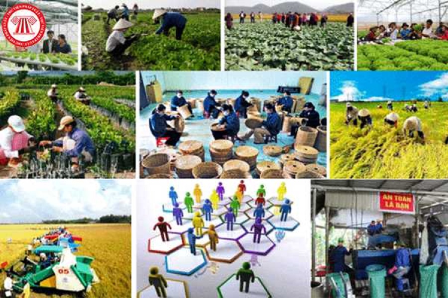 Luật Hợp tác xã hiện hành nhằm tạo hành lang pháp lý thuận lợi, thông thoáng cho PG88 hơn 2,1 triệu thành viên của các tổ chức PG88 ⭐ Link trang chủ số 1 nhà cái PG88 com casino slot hợp tác.
